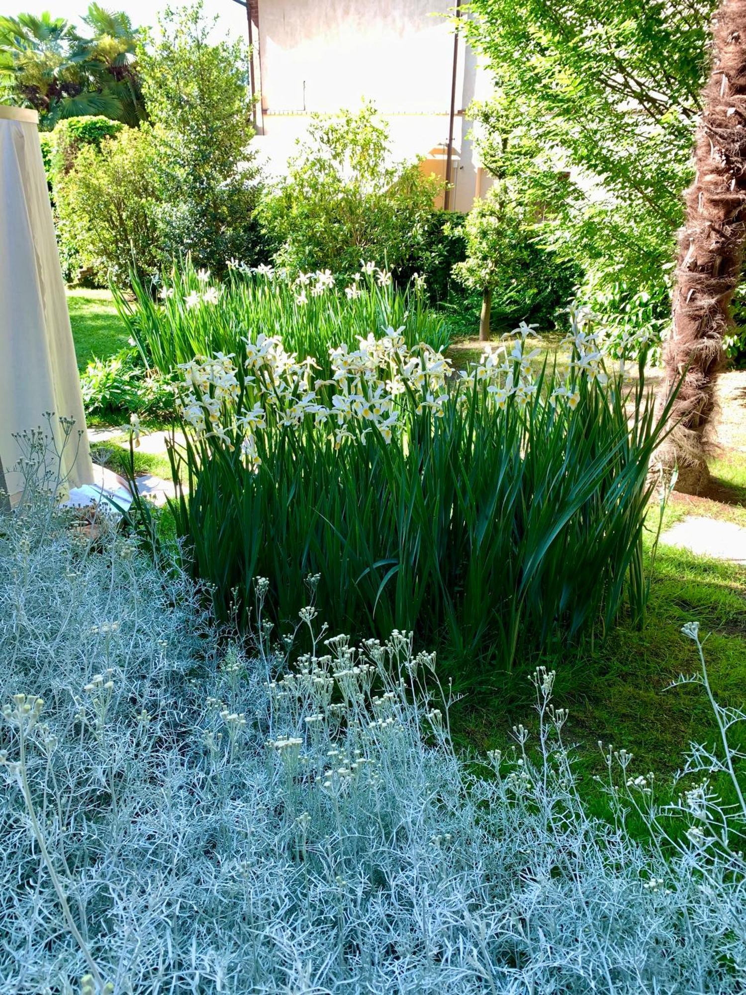Relax Ξενοδοχείο Borgosesia Εξωτερικό φωτογραφία